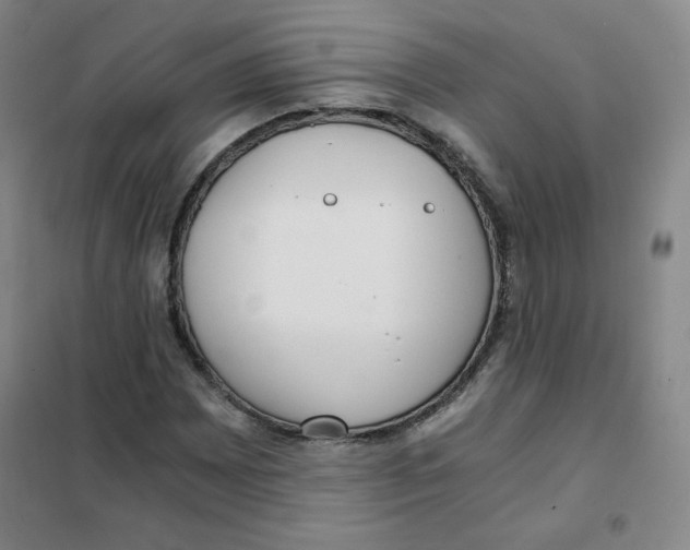 X0000101111065200807241130