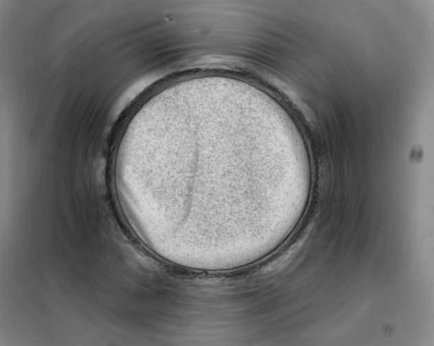 X0000101111066200807241130