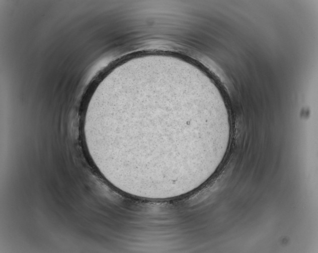 X0000101111067200807241130