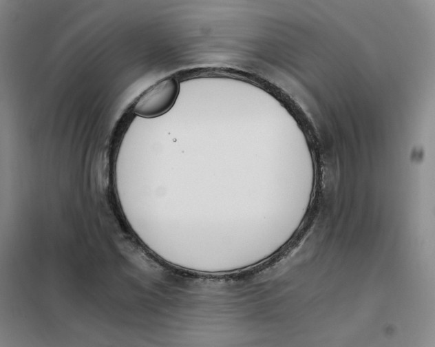 X0000101111069200807241130