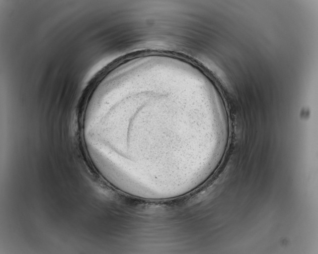 X0000101111070200807241130