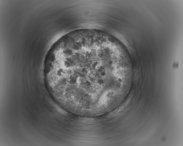 X0000101111071200807241130