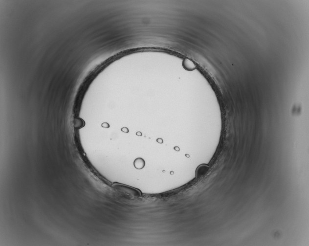 X0000101111072200807241130