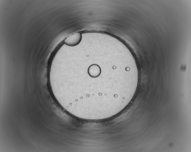 X0000101111075200807241130