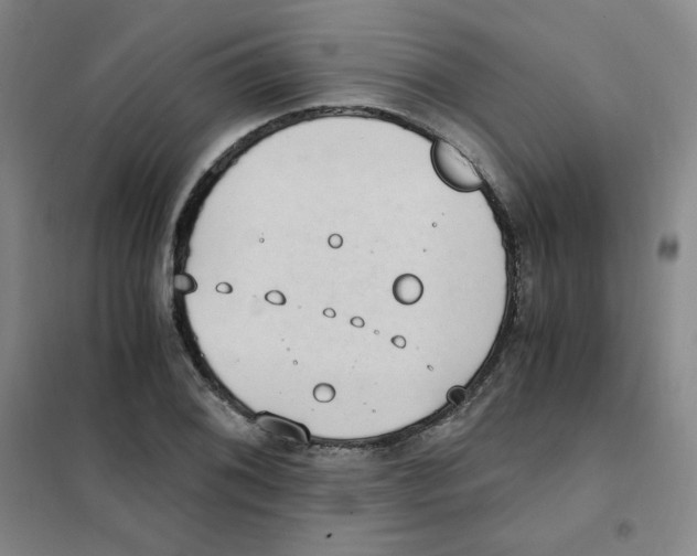 X0000101111076200807241130