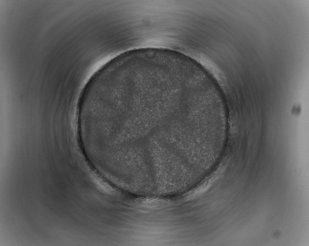 X0000101111077200807241130