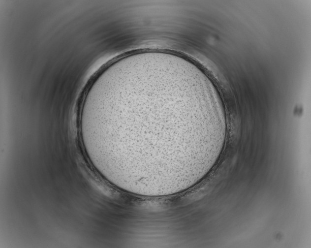 X0000101111078200807241130