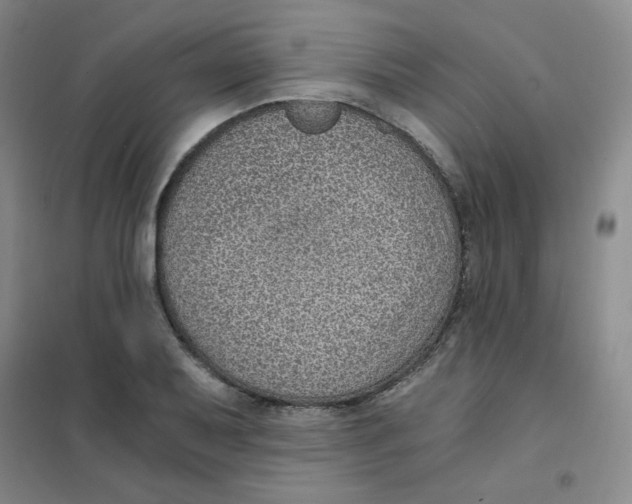 X0000101111079200807241130