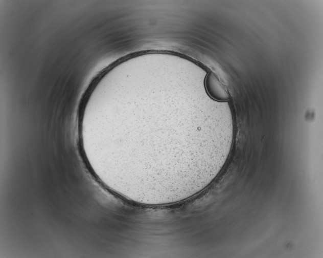 X0000101111080200807241130