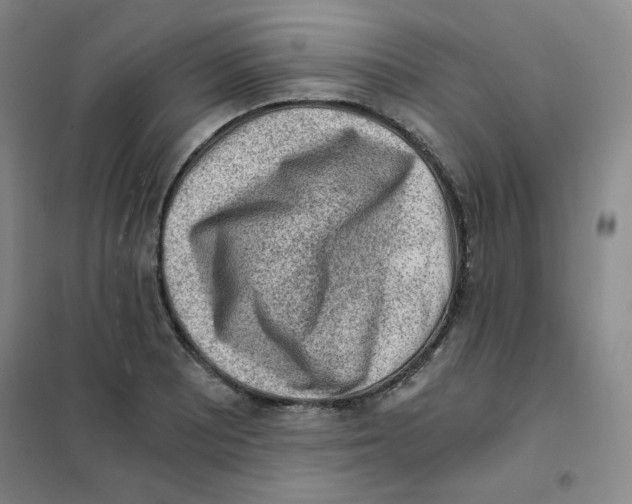 X0000101111081200807241130