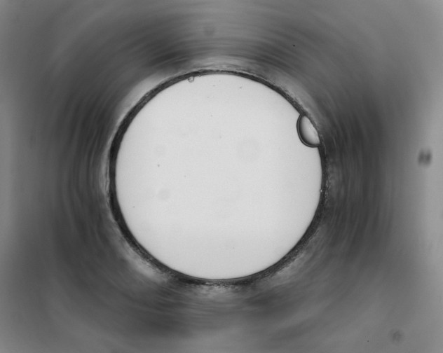 X0000101111082200807241130