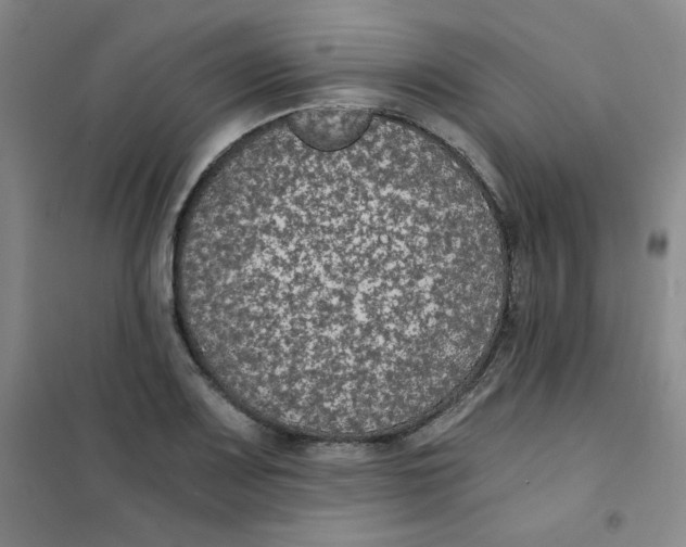 X0000101111083200807241130