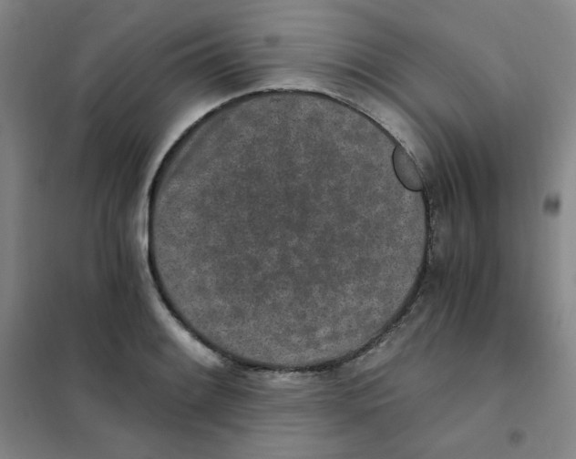 X0000101111084200807241130