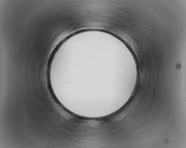 X0000101111085200807241130