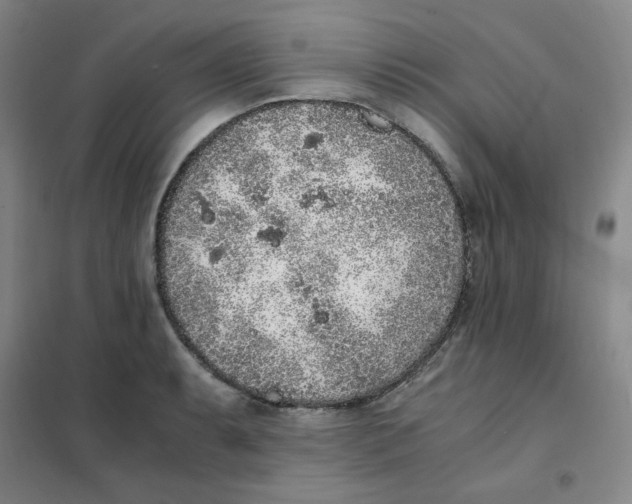 X0000101111087200807241130
