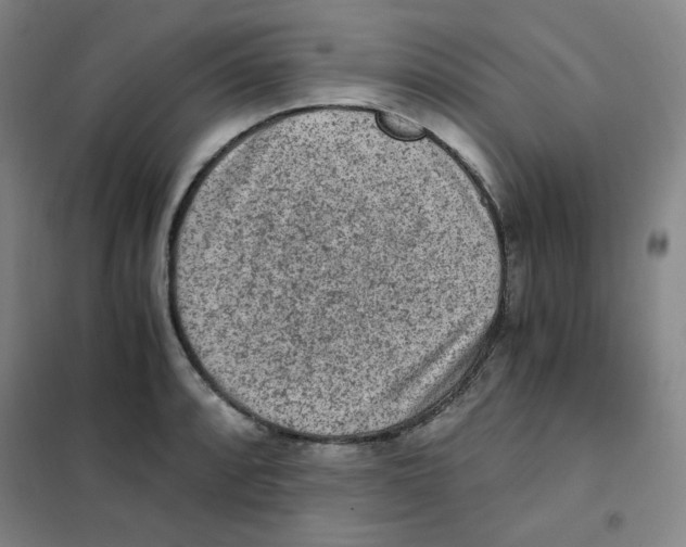X0000101111088200807241130