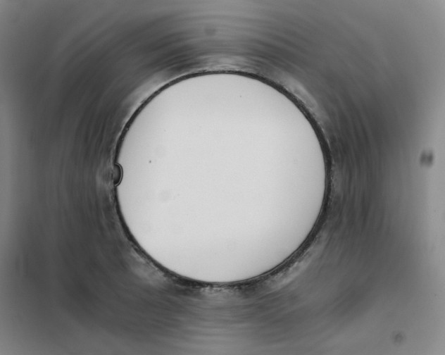 X0000101111089200807241130