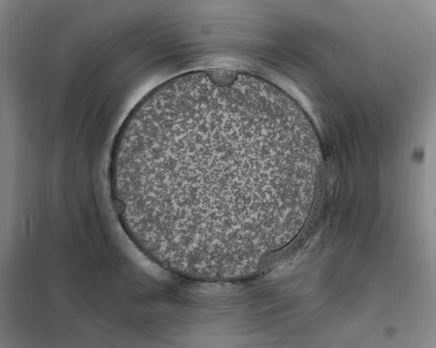 X0000101111091200807241130