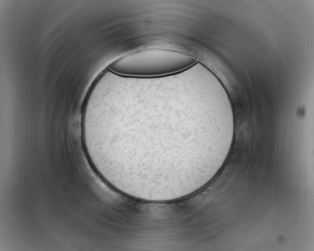 X0000101111092200807241130
