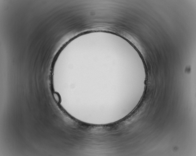 X0000101111093200807241130
