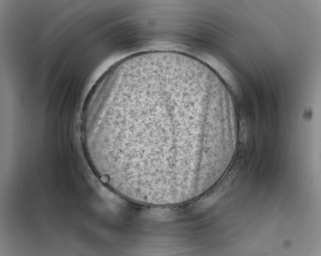 X0000101111094200807241130