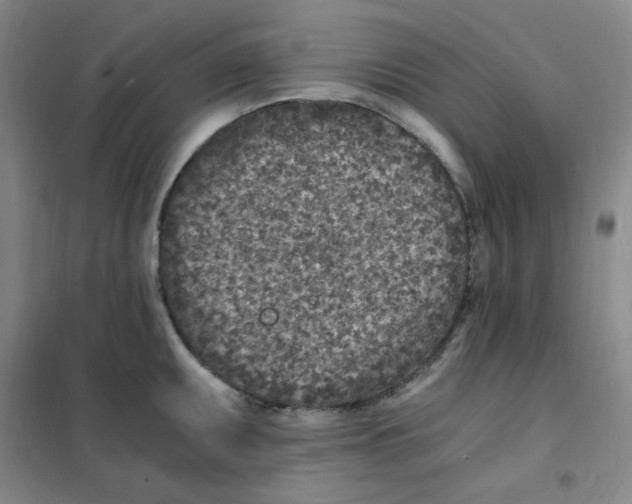 X0000101111095200807241130