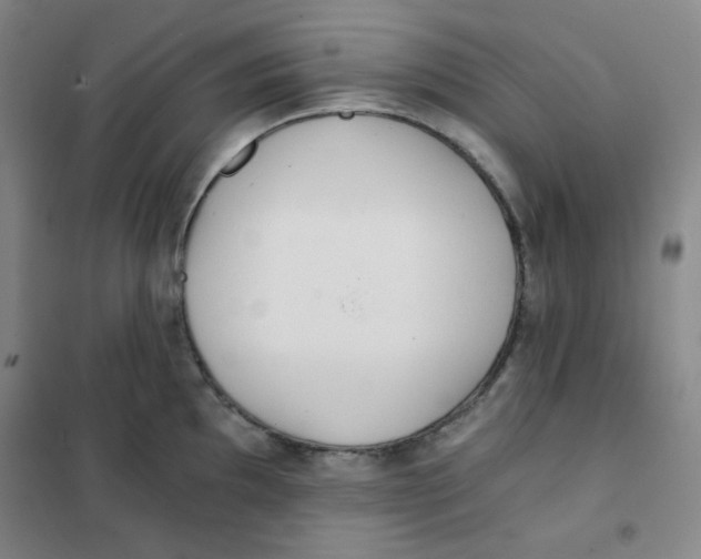 X0000101111097200807241130