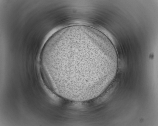 X0000101111098200807241130