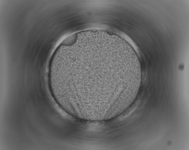 X0000101111099200807241130