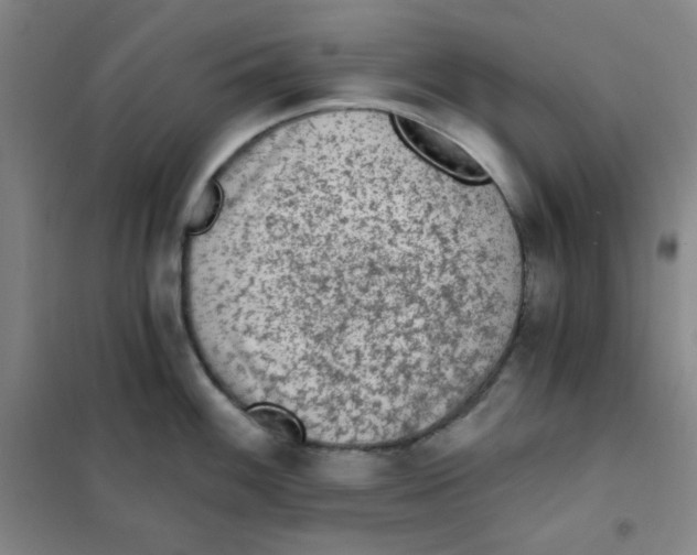 X0000101111100200807241130
