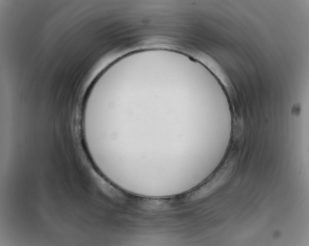 X0000101111101200807241130