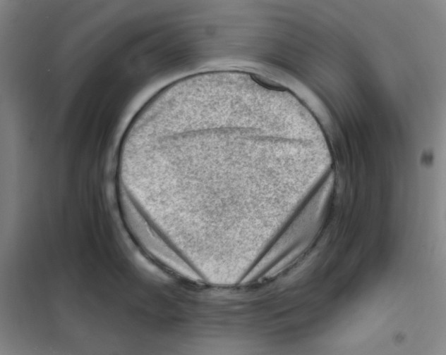 X0000101111102200807241130