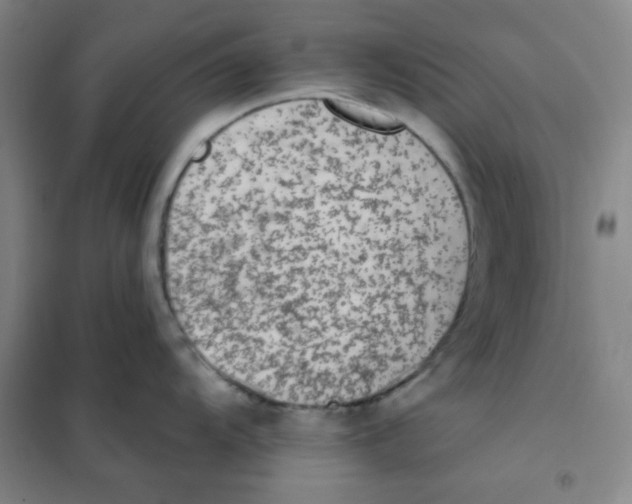X0000101111104200807241130