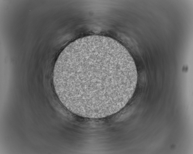 X0000101111105200807241129