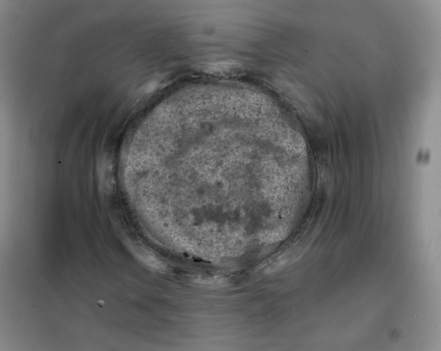 X0000101111106200807241129