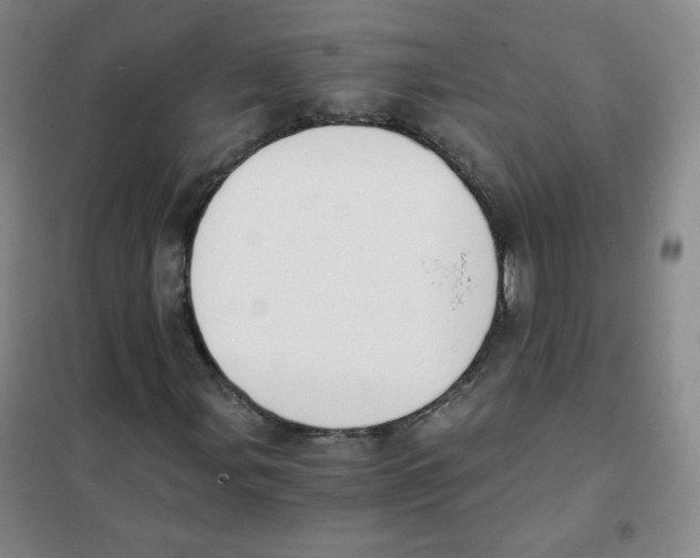 X0000101111107200807241129