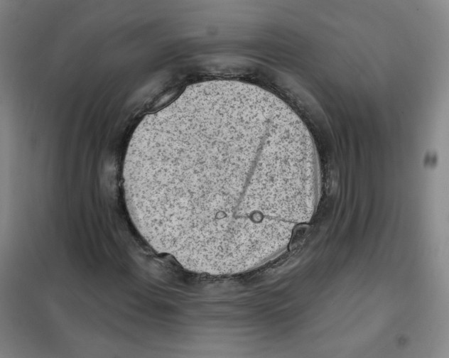 X0000101111108200807241129