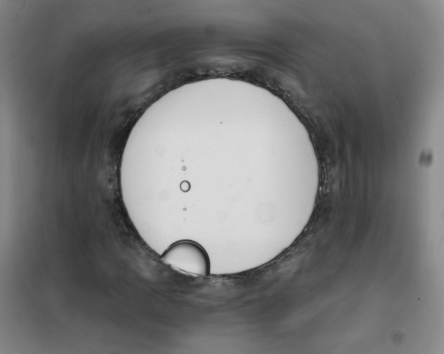 X0000101111109200807241129