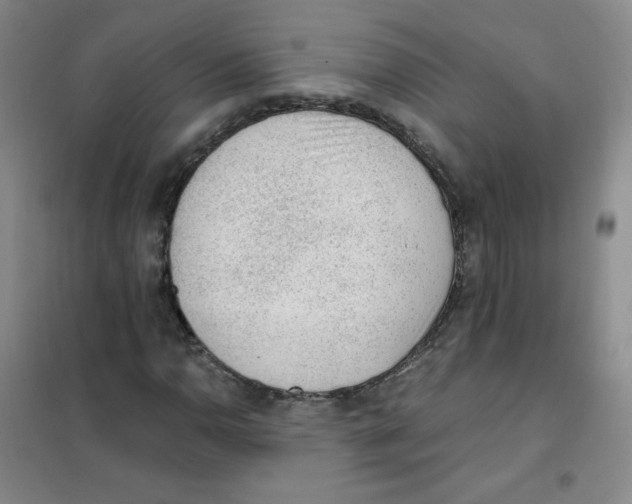 X0000101111110200807241129