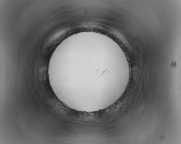 X0000101111111200807241129