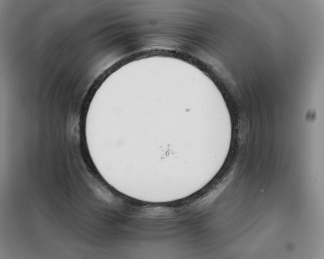 X0000101111113200807241129
