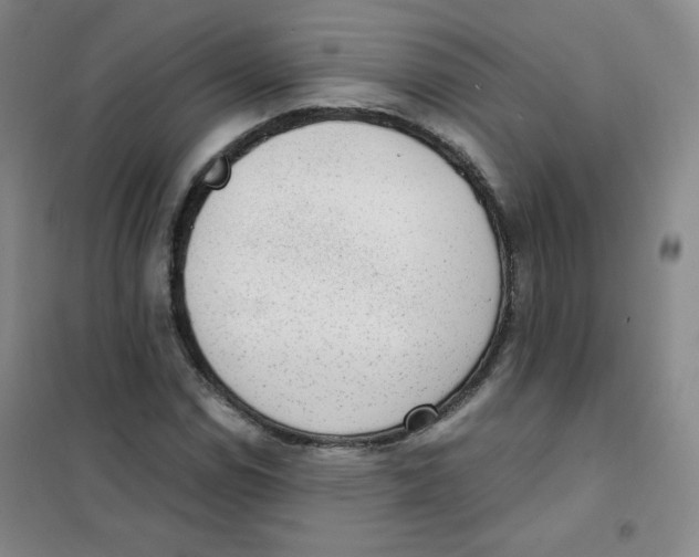 X0000101111114200807241129