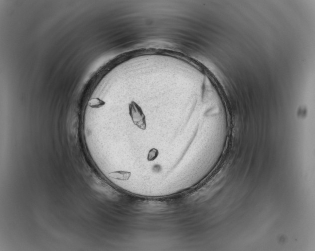 X0000101111115200807241129