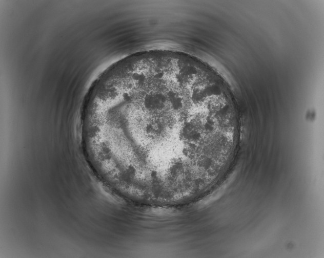 X0000101111117200807241129