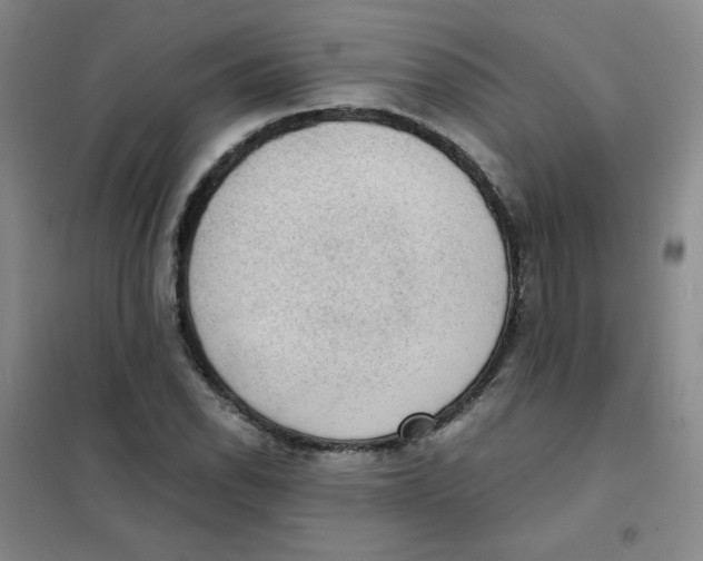 X0000101111118200807241129
