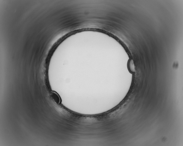 X0000101111119200807241129