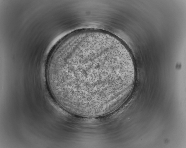 X0000101111120200807241129