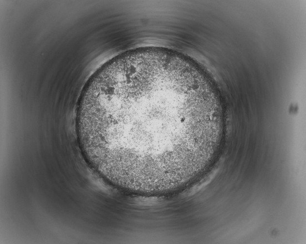 X0000101111121200807241129