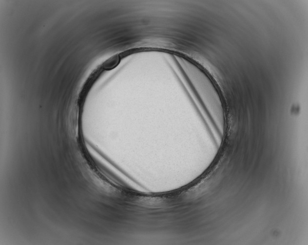 X0000101111123200807241129