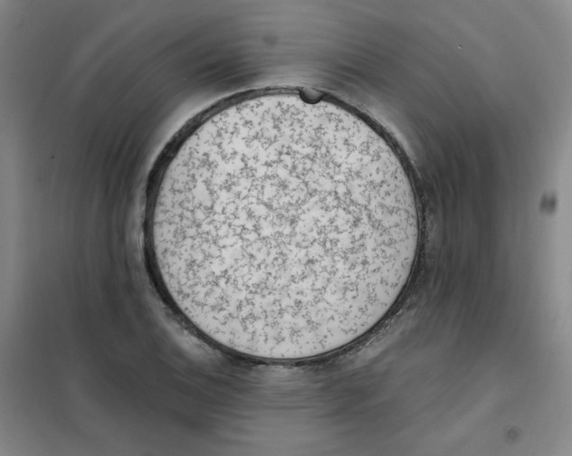 X0000101111124200807241129